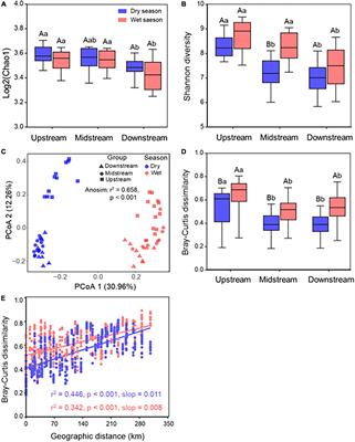 Deterministic processes shape bacterial community assembly in a karst river across dry and wet seasons
